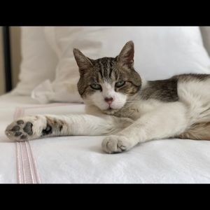 Meet your Posher, Emily